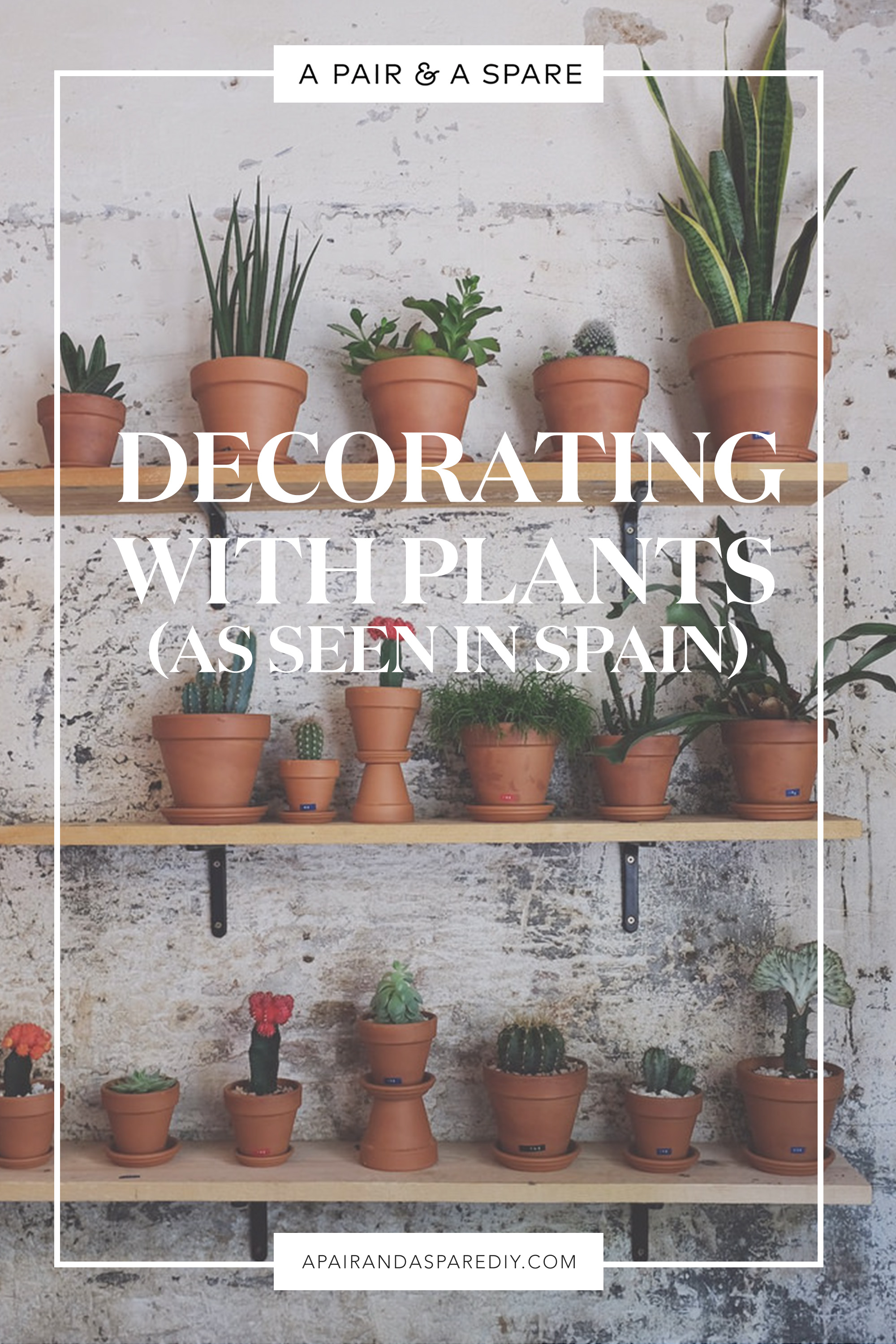 Decorating With Plants