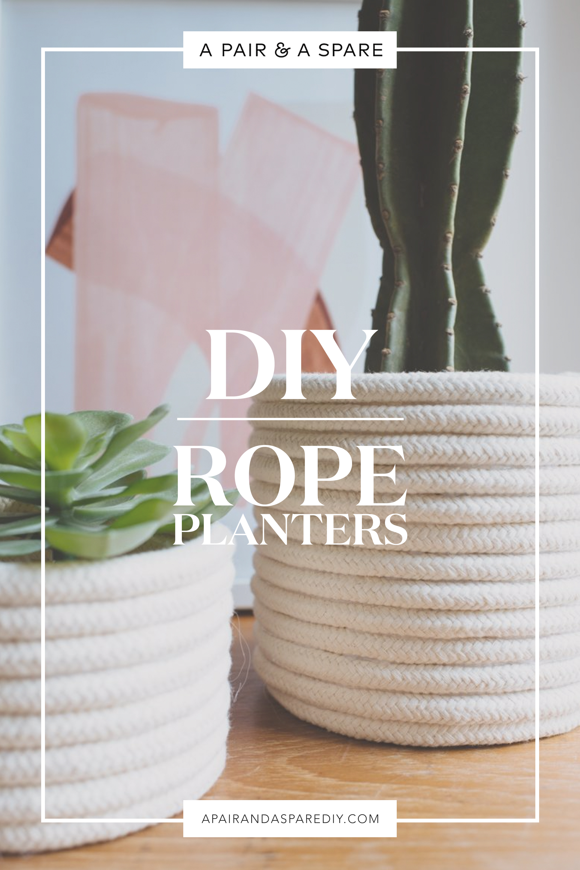 DIY Rope Planter