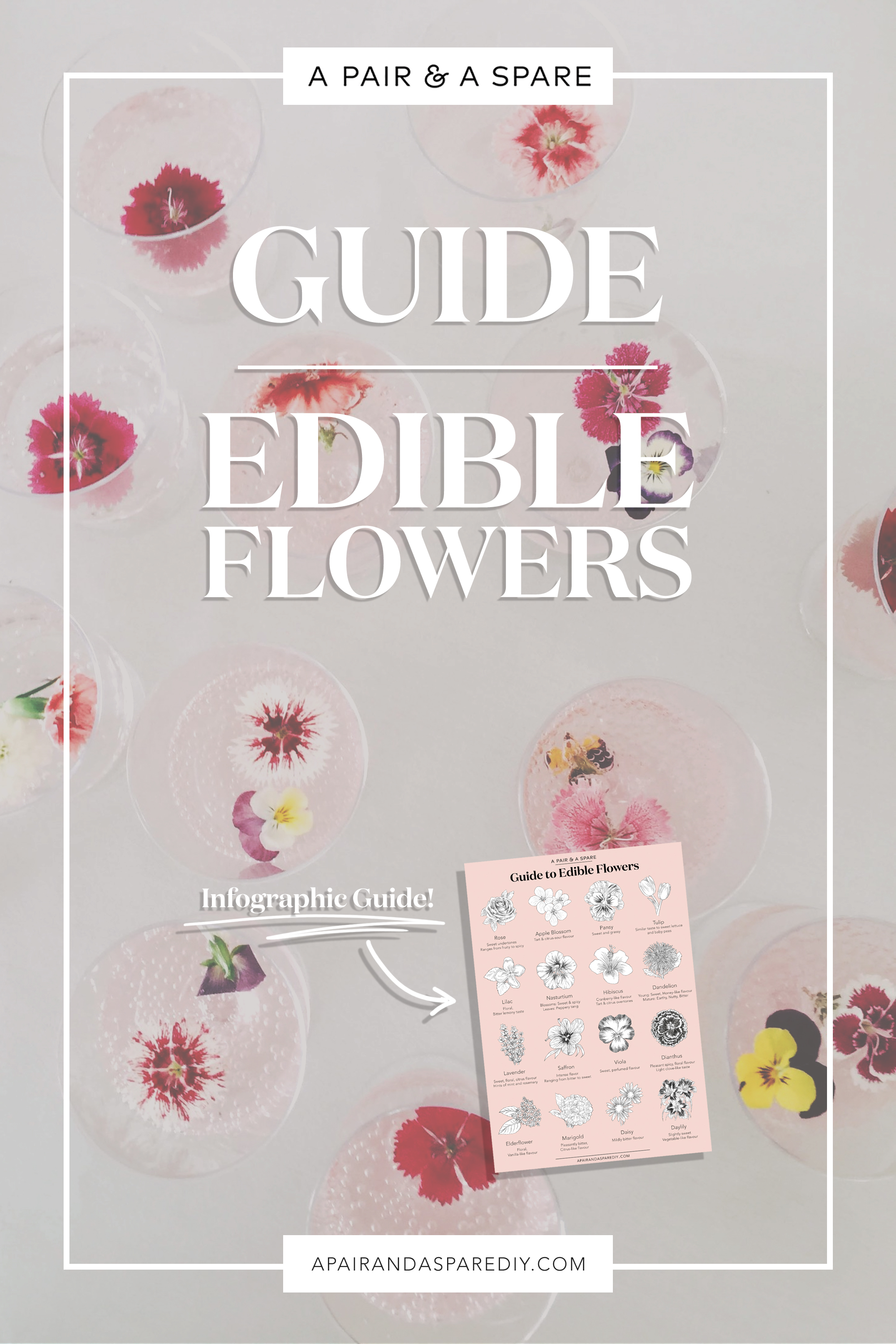 Guide To Edible Flowers