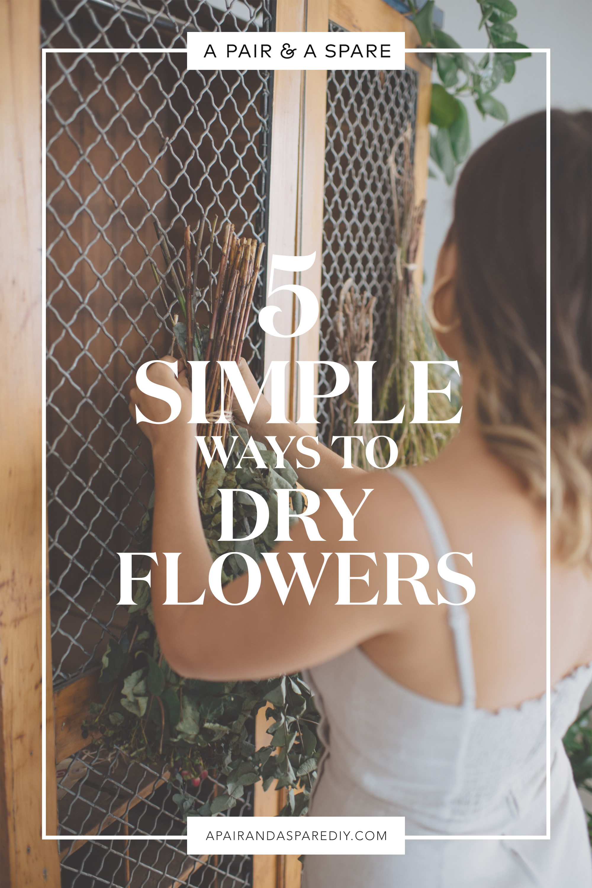 Dry Flowers